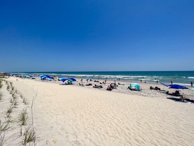 BEACH Shibumis Large