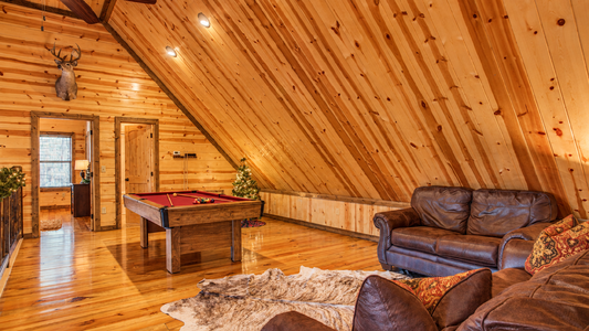 Texas Belle_loft