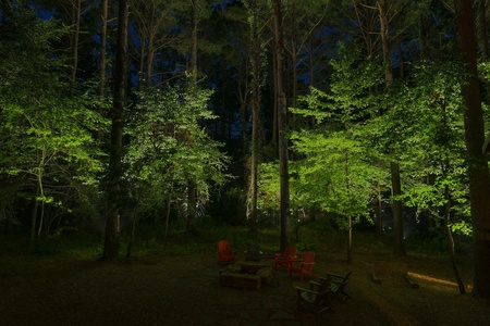 bitahoneyNightPhoto