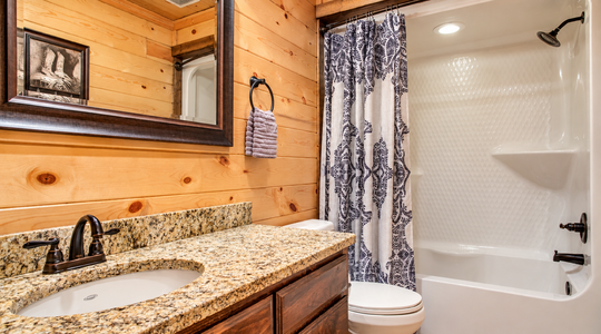 Texas Belle_bathroom