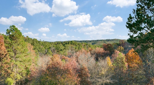 33-n-lukfata-trl-rd-broken-bow-ok-74728-hashilli-MLS-22