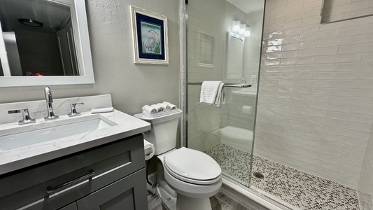 The guest bath has a custom shower and single vanity.