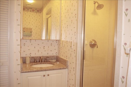 The guest bath has a small shower and single vanity.
