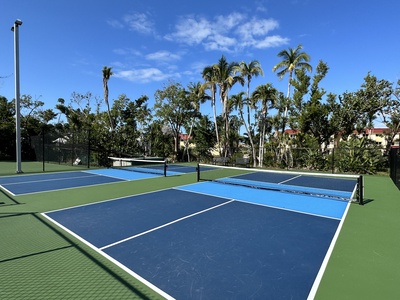 The tennis and pickle ball courts are new and ready for play!