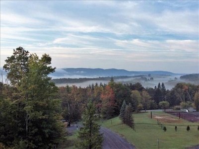 View from House