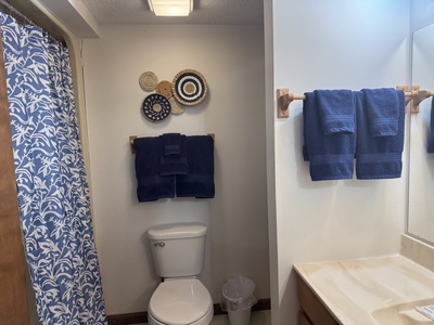 Bathroom 1