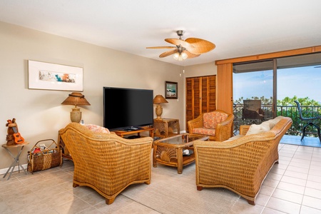 Living room with large television 