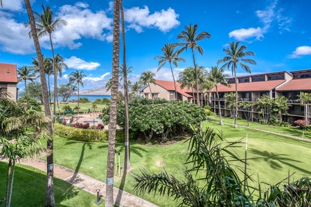 Tropical landscaping