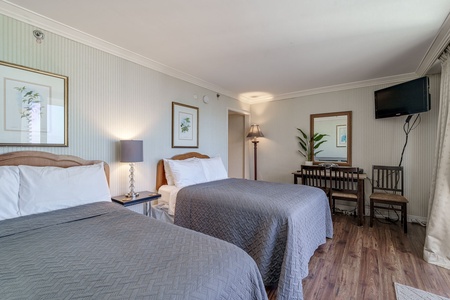 Studio with two queen beds