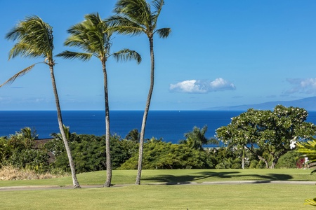 Take in the beauty of Maui