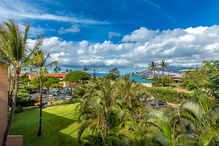 Ocean view with palms blowing in the Maui breeze