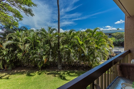 Lanai views