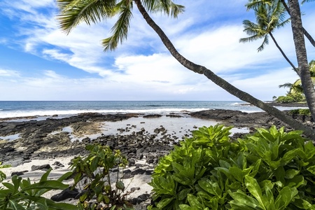 Beach across the street from your unit