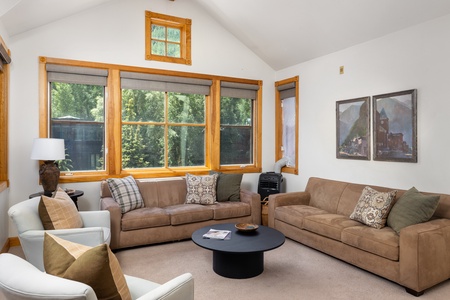 Pine Street C - Ballard Views by Curate Telluride