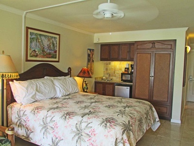 361-room-fan-june