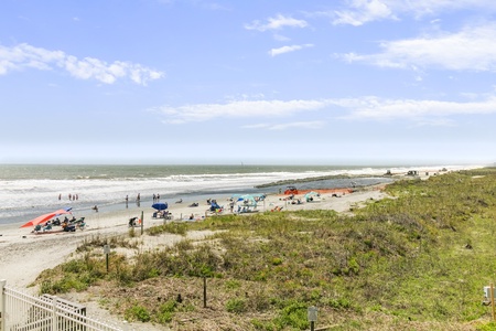 Beach/Sand Dunes