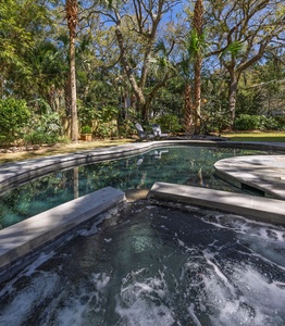 Unwind in your private tropical oasis with sparkling pool and bubbling hot tub nestled among swaying palms and lush greenery.