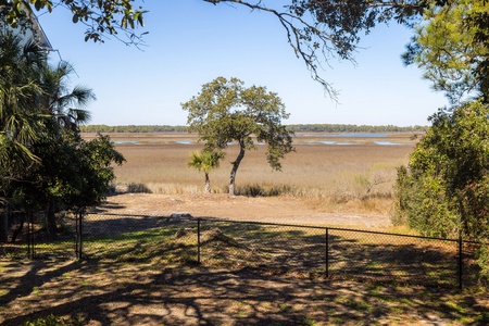 Marsh view