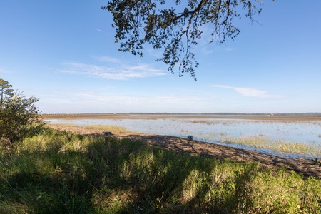 The Blue Pelican | Marsh/Folly River View