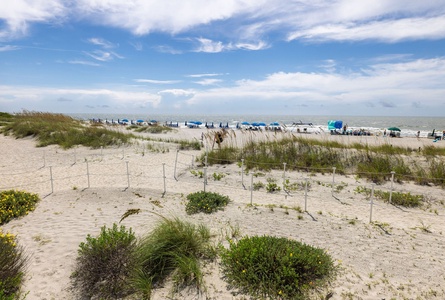 Watch the morning light dance across the dunes, a peaceful view you could wake up to every day.