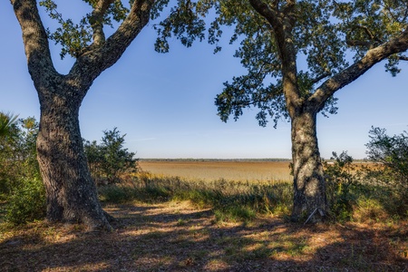 The Blue Pelican | Marsh View