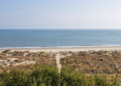 Expansive ocean views stretch endlessly toward the horizon, with pristine sandy beach and natural dune vegetation creating a peaceful coastal setting.