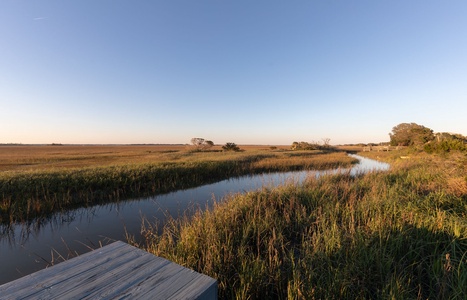 marsh view