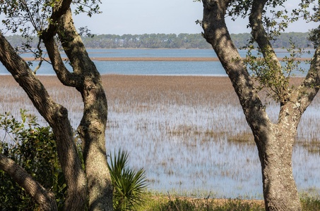 The Blue Pelican | Folly River View