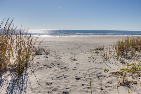 Folly Beach