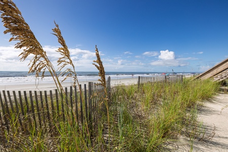 Just past the dunes lies your ocean oasis