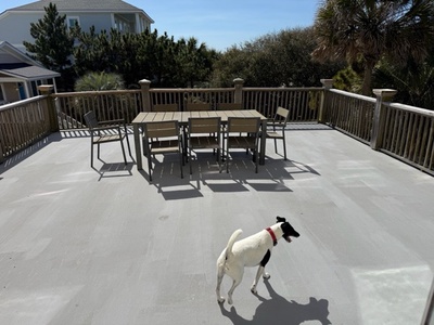 Your spacious deck offers perfect outdoor dining with tropical views, while your furry friend enjoys the sunny space alongside you.