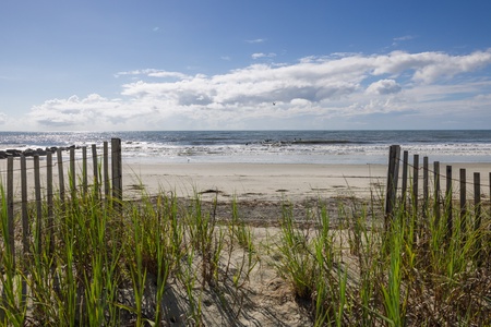 Beautiful Folly Beach awaits