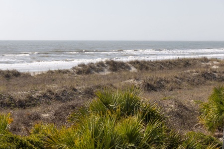 folly dunes