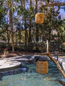 Tropical pool oasis framed by towering palms and artistic lanterns, creating the perfect backdrop for afternoon relaxation.