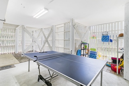 Ping Pong Table