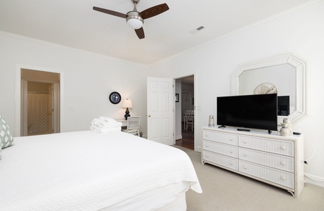 Primary Downstairs Bedroom