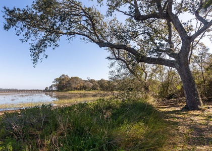 The Blue Pelican | Marsh/Folly River View