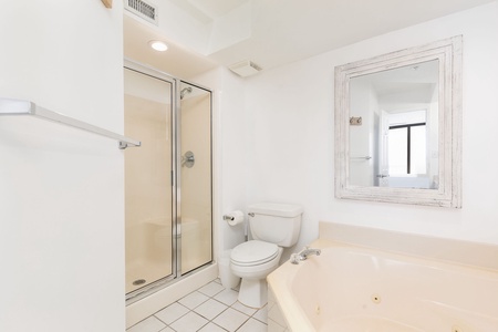 Master bathroom shower