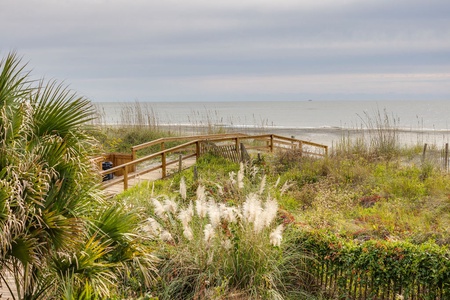 The boardwalk winds through coastal dunes and sea oats leading you to the beach.