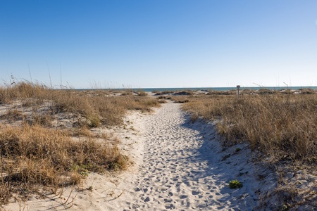 Sandy path winds through coastal dunes toward pristine beach waters under clear blue skies.