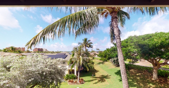 The panoramic view from your lanai.