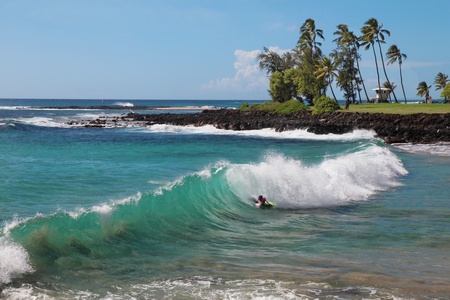 Watch skilled surfers ride the waves against a stunning backdrop at Kuhio Shores.