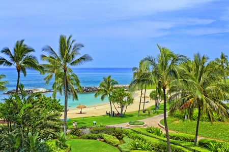 Sandy beaches and green grass at the blue lagoon.
