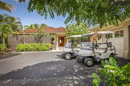 Use of two 4-Seater golf carts is included with your rental.