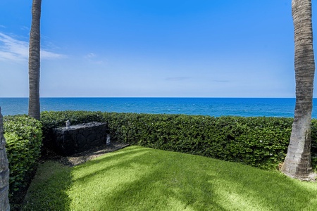 Lush yard to enjoy picnic!