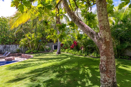 A peaceful backyard retreat with swaying palm trees and plenty of space to unwind.