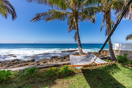 A hammock-ready shoreline bordered by palms—paradise within steps of your home away from home.