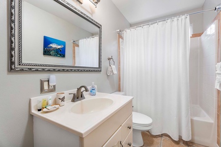 The shared full bathroom on the ground level with a single vanity.