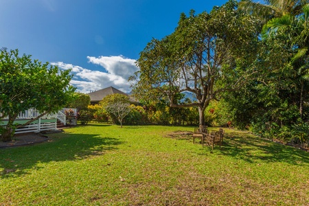 Expansive yard for games, lounging, or stargazing.