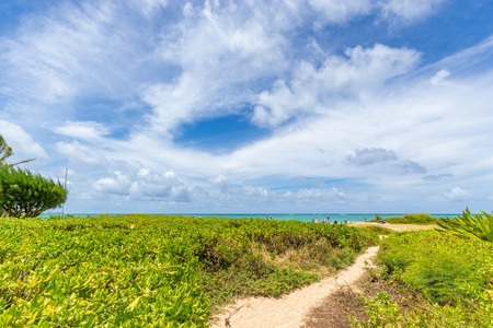 Through the Naupaka hedge to the Lanikai Beach